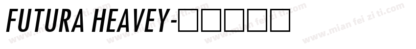 FUTURA HEAVEY字体转换